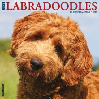 Cover image for 9781549243660 - Just Labradoodles 2025 12 X 12 Wall Calendar