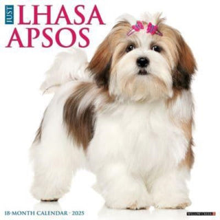 Cover image for 9781549243707 - Just Lhasa Apsos 2025 12 X 12 Wall Calendar
