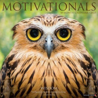 Cover image for 9781549244049 - Motivationals 2025 12 X 12 Wall Calendar