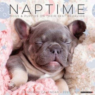 Cover image for 9781549244100 - Naptime (Dogs & Puppies) 2025 12 X 12 Wall Calendar