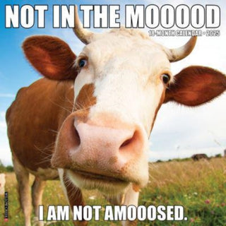 Cover image for 9781549244247 - Not in the Mooood 2025 12 X 12 Wall Calendar
