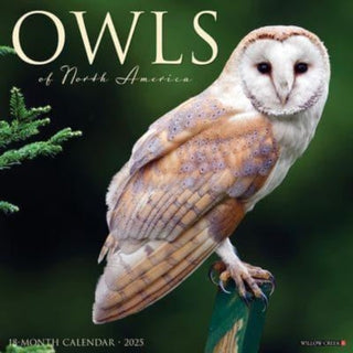 Cover image for 9781549244315 - Owls 2025 12 X 12 Wall Calendar