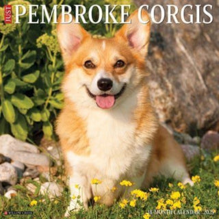 Cover image for 9781549244414 - Just Pembroke Corgis 2025 12 X 12 Wall Calendar