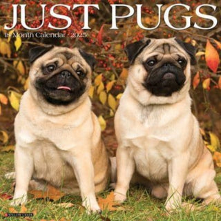 Cover image for 9781549244575 - Just Pugs 2025 12 X 12 Wall Calendar