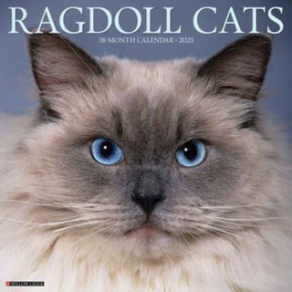 Cover image for 9781549244612 - Ragdoll Cats 2025 12 X 12 Wall Calendar