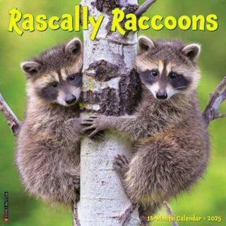 Cover image for 9781549244643 - Rascally Raccoons 2025 12 X 12 Wall Calendar