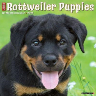 Cover image for 9781549244681 - Just Rottweiler Puppies 2025 12 X 12 Wall Calendar