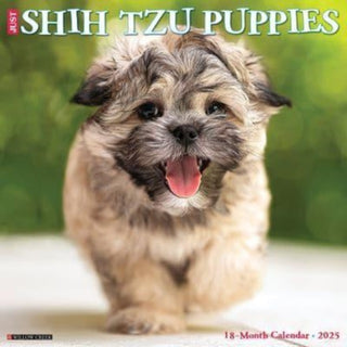 Cover image for 9781549244865 - Just Shih Tzu Puppies 2025 12 X 12 Wall Calendar