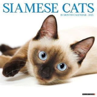 Cover image for 9781549244889 - Siamese Cats 2025 12 X 12 Wall Calendar