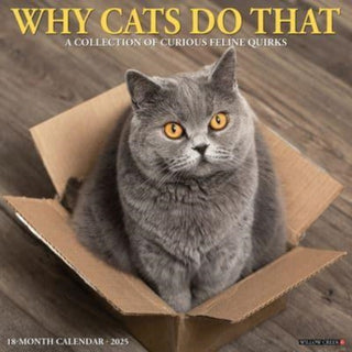 Cover image for 9781549245435 - Why Cats Do That 2025 12 X 12 Wall Calendar