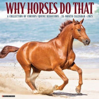 Cover image for 9781549245442 - Why Horses Do That 2025 12 X 12 Wall Calendar