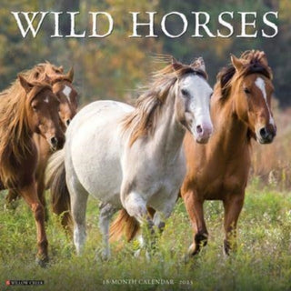 Cover image for 9781549245466 - Wild Horses 2025 12 X 12 Wall Calendar