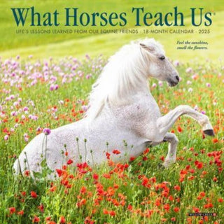 Cover image for 9781549246036 - What Horses Teach Us 2025 7 X 7 Mini Wall Calendar