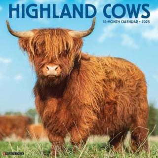 Cover image for 9781549246432 - Highland Cows 2025 12 X 12 Wall Calendar