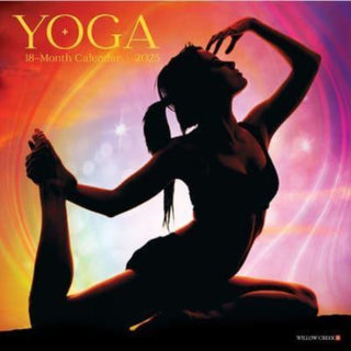 Cover image for 9781549246678 - Yoga 2025 12 X 12 Wall Calendar