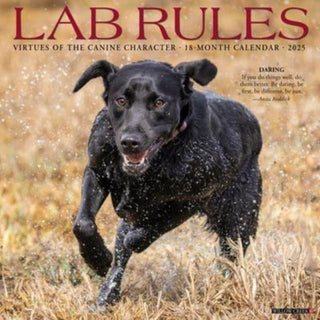 Cover image for 9781549246777 - Lab Rules 2025 12 X 12 Wall Calendar