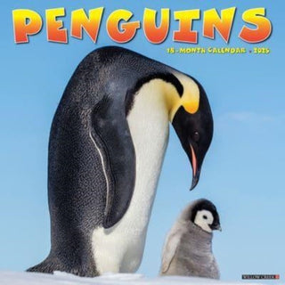 Cover image for 9781549246784 - Penguins 2025 12 X 12 Wall Calendar