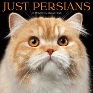 Cover image for 9781549246791 - Just Persians 2025 12 X 12 Wall Calendar