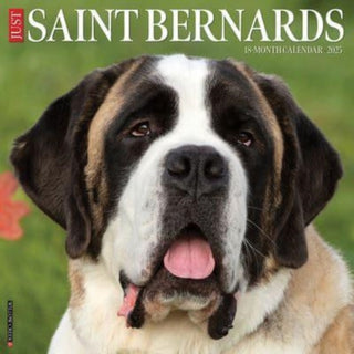 Cover image for 9781549246821 - Just Saint Bernards 2025 12 X 12 Wall Calendar