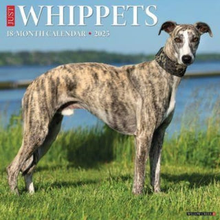 Cover image for 9781549246869 - Just Whippets 2025 12 X 12 Wall Calendar