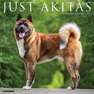 Cover image for 9781549258664 - Akitas 2027 Wall