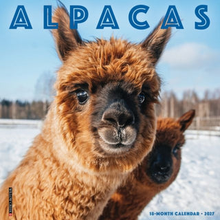 Cover image for 9781549258695 - Alpacas 2027 Wall