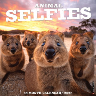 Cover image for 9781549258800 - Animal Selfies 2027 Wall
