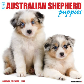 Cover image for 9781549258923 - Australian Shepherd Puppies 2027 Wall
