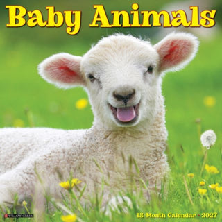 Cover image for 9781549258954 - Baby Animals 2027 Wall