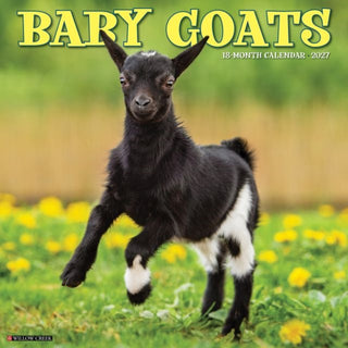 Cover image for 9781549258961 - Baby Goats 2027 Wall