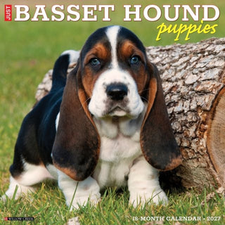 Cover image for 9781549259036 - Basset Hound Puppies 2027 Wall