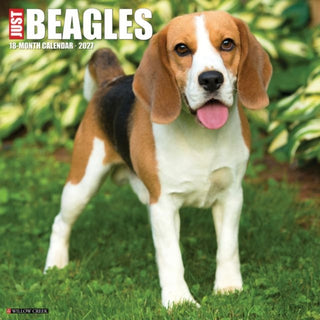 Cover image for 9781549259104 - Beagles 2027 Wall