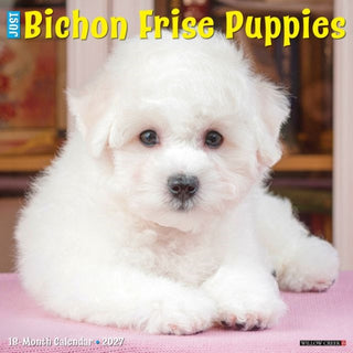 Cover image for 9781549259180 - Bichon Frise Puppies 2027 Wall
