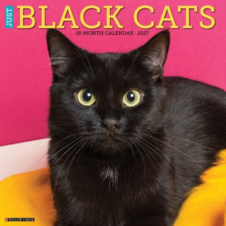 Cover image for 9781549259241 - Black Cats 2027 Wall