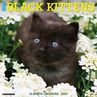 Cover image for 9781549259258 - Black Kittens 2027 Wall