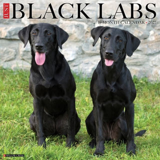 Cover image for 9781549259272 - Black Labs 2027 Wall