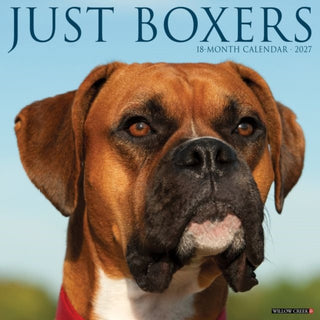 Cover image for 9781549259326 - Boxers 2027 Wall