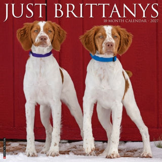 Cover image for 9781549259333 - Brittanys 2027 Wall