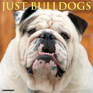 Cover image for 9781549259388 - Bulldogs 2027 Wall