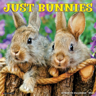 Cover image for 9781549259395 - Bunnies 2027 Wall