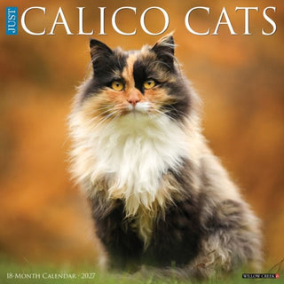 Cover image for 9781549259432 - Calico Cats 2027 Wall