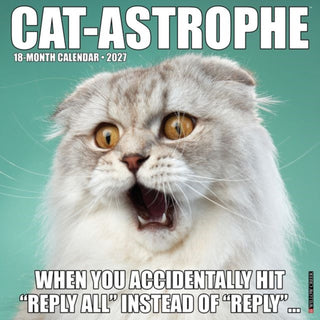 Cover image for 9781549259555 - Cat-astrophe 2027 Wall