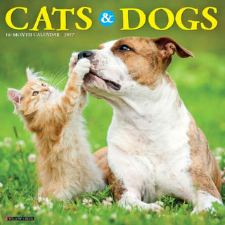 Cover image for 9781549259579 - Cats & Dogs 2027 Wall