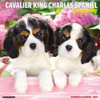 Cover image for 9781549259616 - Cavalier King Charles Spaniel Puppies 2027 Wall