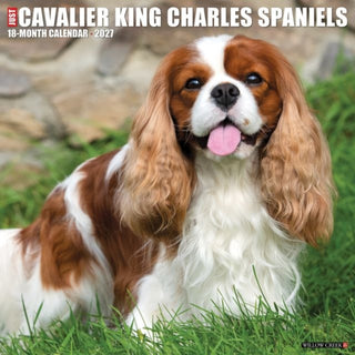 Cover image for 9781549259623 - Cavalier King Charles Spaniels 2027 Wall