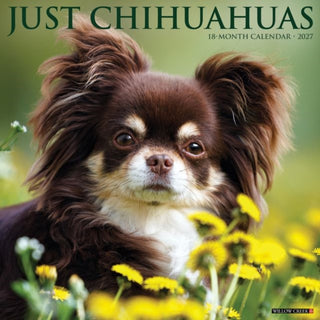 Cover image for 9781549259661 - Chihuahuas 2027 Wall