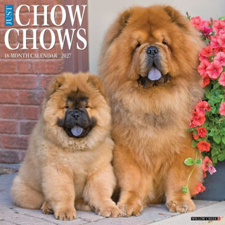Cover image for 9781549259708 - Chow Chows 2027 Wall