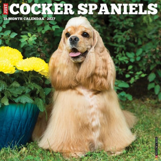 Cover image for 9781549259791 - Cocker Spaniels 2027 Wall