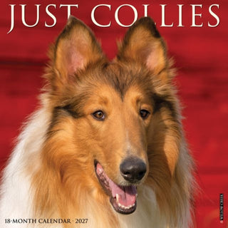 Cover image for 9781549259814 - Collies 2027 Wall