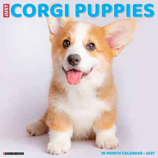 Cover image for 9781549259838 - Corgi Puppies 2027 Wall